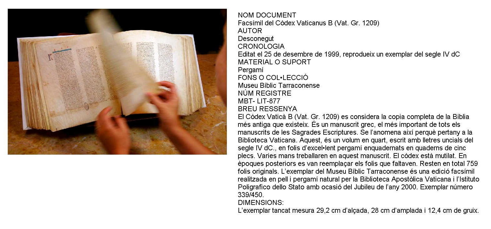 codex1