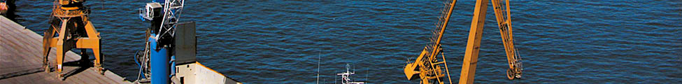 multimedia_1