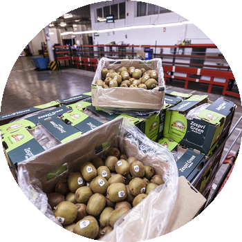 Amb qui treballem? | Who do we work with?