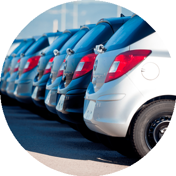 Amb qui treballem? | Who do we work with?