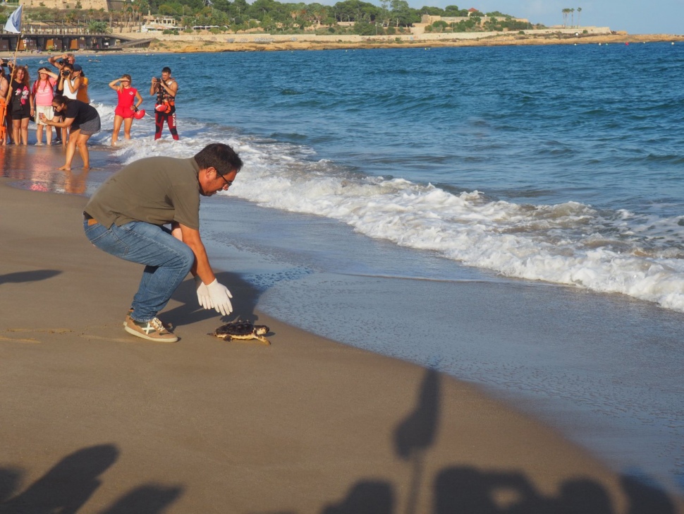 Port Tarragona col·laborador de l’acte per a l’alliberament d’un grup de tortugues nascudes a la platja del Miracle