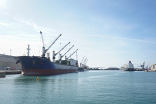 El Port de Tarragona viu un nou mes de creixements al setembre
