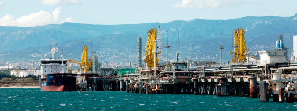 El Port de Tarragona defiende la creación de un hub regional petroquímico en el Mediterráneo durante Argus 2019