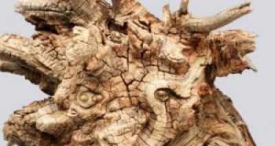 Mitología y naturaleza. El alma de la madera