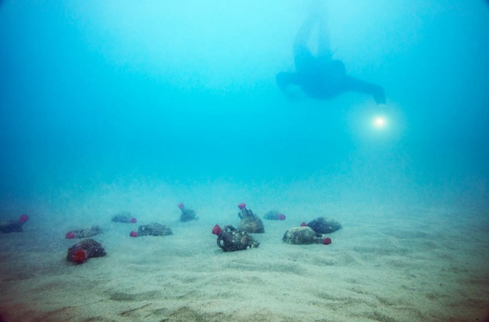 Treuen 200 àmfores de vins del territori submergides fa un any en aigües del Port Tarragona