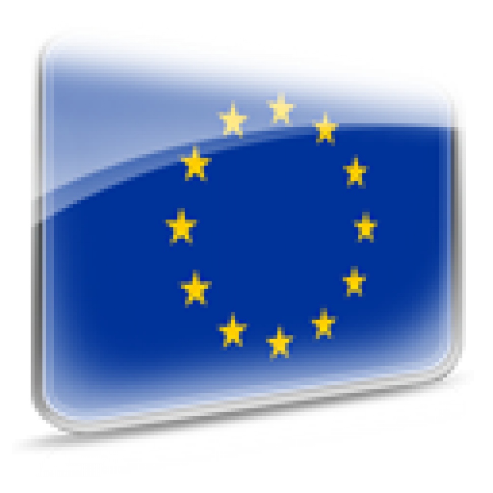 Projectes europeus