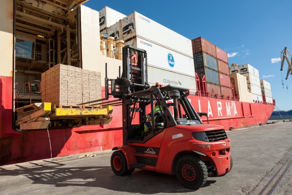 El Port de Tarragona es consolida com un dels principals importadors del sector fructícola