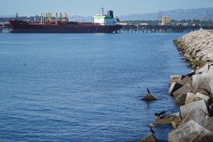 El Port de Tarragona acumula tres mesos de tràfics a l’alça marcant un canvi de tendència