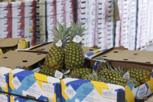 El Port de Tarragona, present a Fruit Logistica, la principal fira del sector internacional de fruites i hortalisses