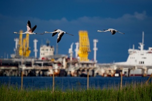 El Pla de Sostenibilitat 2026-2030 de Port Tarragona fixa noves metes per avançar en protecció ambiental, descarbonització i compromís social