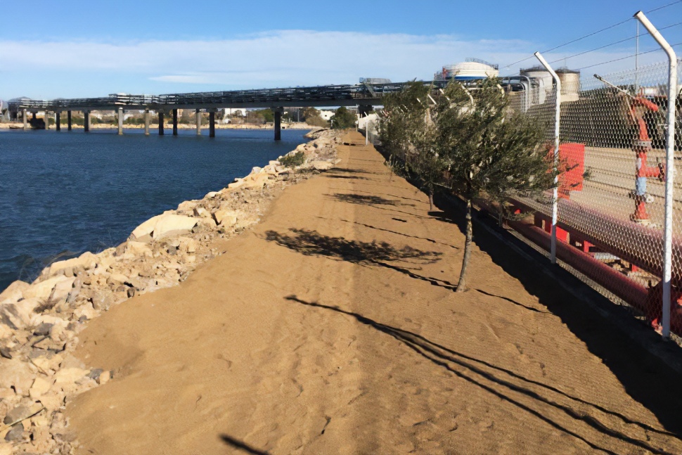 Port Tarragona instal·la una plataforma de sauló per a la gavina corsa