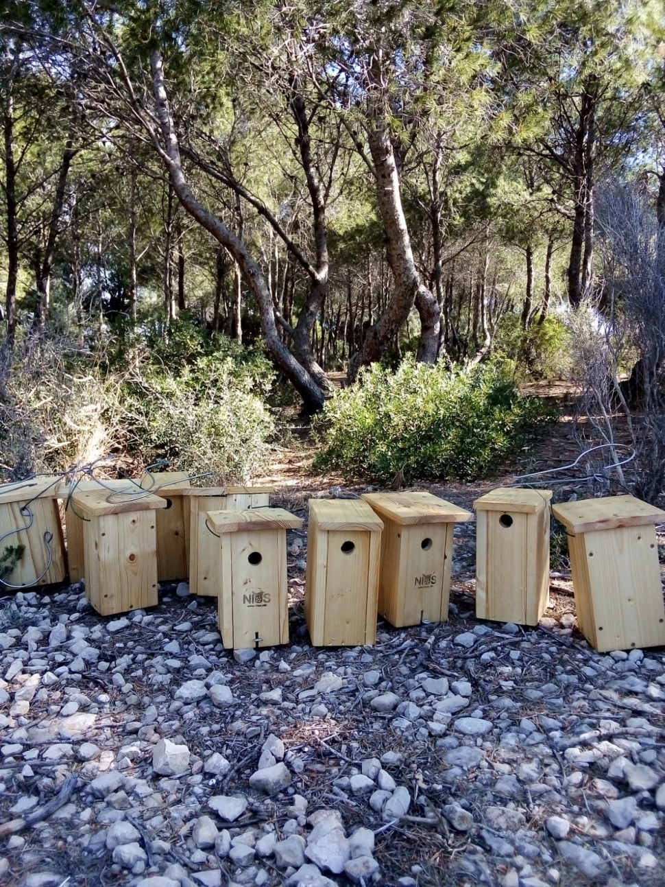 El Port de Tarragona instal·la 10 caixes nius per millorar el control biològic i proporcionar refugi a les aus