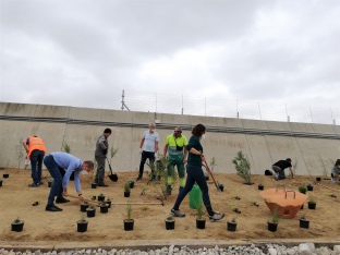 El Port de Tarragona organitza una plantada d’arbres per fomentar la biodiversitat amb motiu de la Setmana de la Natura