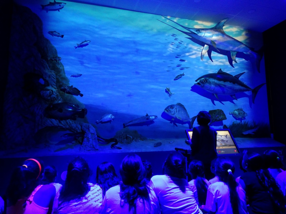 Prop de 10.000 escolars visiten el Museu del Port durant el curs 2025-2026