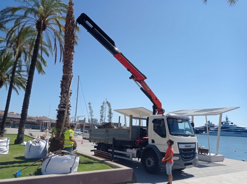 Port Tarragona replanta noves palmeres a la façana marítima
