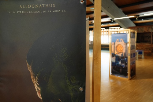 El Museu del Port obre al públic l’exposició fotogràfica ‘Allognathus: El misteriós cargol de la Muralla’