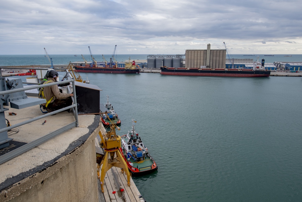 Port Tarragona instal·la una caixa niu per la nidificació del falcó pelegrí