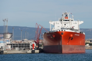 La terminal de TEPSA al Port Tarragona rep l’autorització per la importació de subproductes d&#039;origen animal per a la producció de biocombustibles