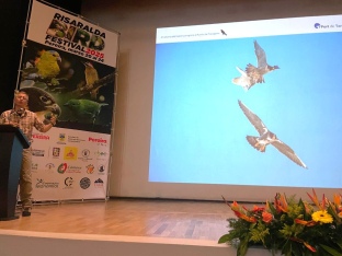 L’assentament del falcó pelegrí a Port Tarragona s’exposa com a cas d’èxit en un festival ornitològic de Colòmbia