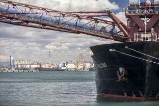 El Port de Tarragona supera els 30 milions de tones acumulades al mes de novembre