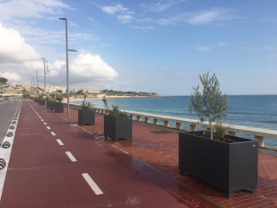 El Port de Tarragona crea més espai verd al Passeig Marítim del Miracle amb la plantació de nova vegetació