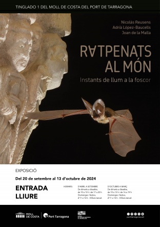 El Port Tarragona presenta una nova exposició al Tinglado 1 ‘Ratpenats al món’